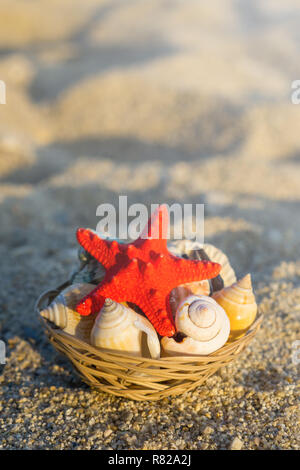 Red starfish and seashells on basket on sand at the beach. Stock Photo