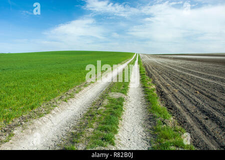 Road through fields towards the horizon and clouds on the sky Stock Photo
