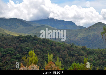 Mountain backgrounds against a blue sky, Elephant Hill, Aberdares, Kenya Stock Photo
