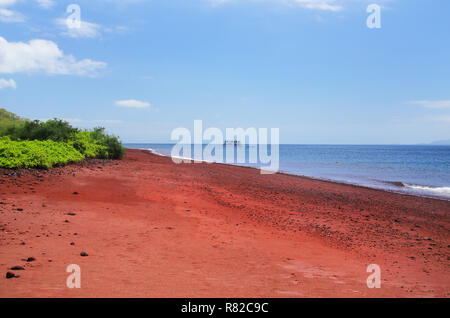 Red sand beach on Rabida Island in Galapagos National Park, Ecuador ...