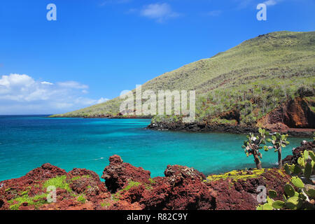 Shoreline of Rabida Island in Galapagos National Park, Ecuador Stock Photo