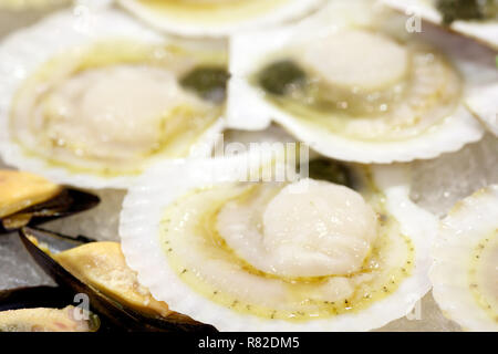 Open raw clams mollusk on ice on display in market Stock Photo