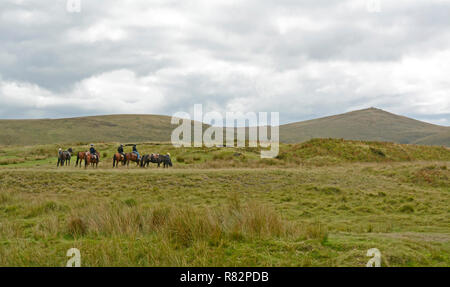 Pony trekkers on Taw Marsh, near Belstone, Dartmoor Stock Photo