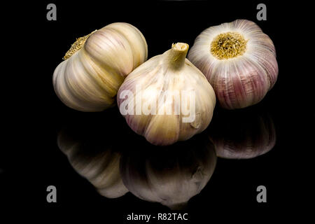 Three garlic bulbs on black background Stock Photo