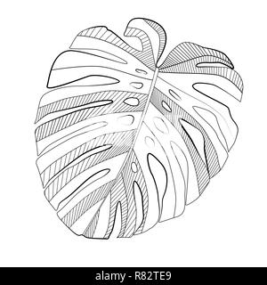 Abstract tropical monstera  leaf. Vector Illustration Stock Vector