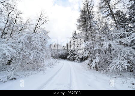 Snowy trees and bushes. In the deep winter hardly any car drives over the road in the forest. The street is not cleared of snow. Landscape in the Saue Stock Photo