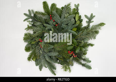 A circle of branches of different fir varieties. Green and blue Nordmann fir branches, coniferous branches and holly (Ilex) lie on white paper backgro Stock Photo