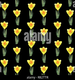Watercolor botanical realistic floral pattern with narcissus. Easter narcissus. Bright yellow daffodil on a black background.