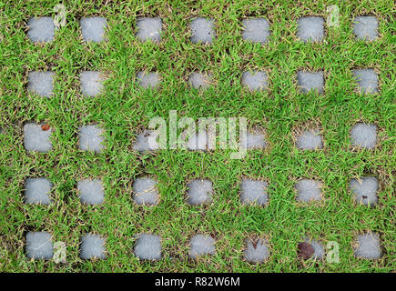 Top view of turf stone pavers covered with vibrant green grass Stock Photo