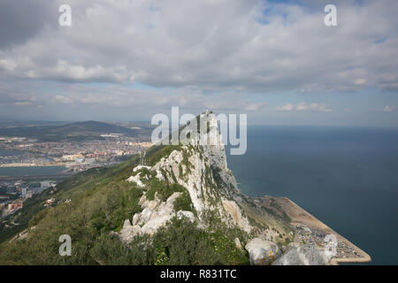 Gibraltar,UK,12th December 2018,Blue skies at the top of the rock of Gibraltar where the famous Barbary Apes sit and groom each other totally unaware and unaffected by the current political situation concerning Gibraltar.Credit: Keith Larby/Alamy Live News Stock Photo