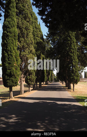 Row of Italian Cypress trees on the famous Appian Way Stock Photo