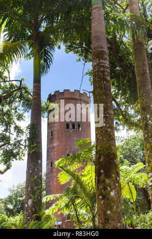 El Yunque Rainforest in Puerto Rico Yokahu Observation tower Stock Photo