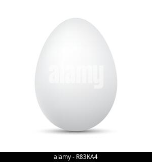 White Egg isolated. Vector illustration. Chicken Egg with shadow Stock Vector
