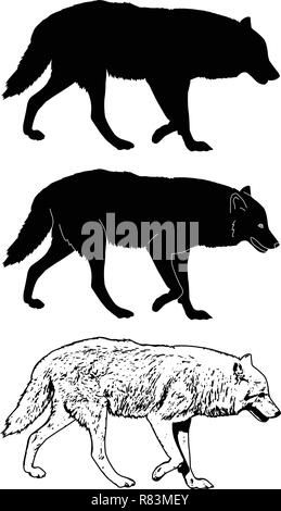 wolf silhouette and sketch illustration - vector Stock Vector