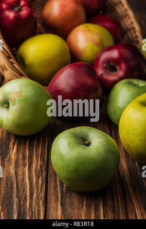 wicker basket with scattered multicolored apples on wooden table Stock Photo
