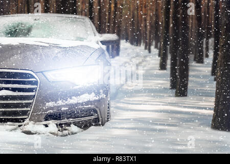 Car driving through pine forest leaving tracks in snow. Heavy winter snowfall. Blizzard and snowstorm. Winter holidays, travel and vacation. Stock Photo