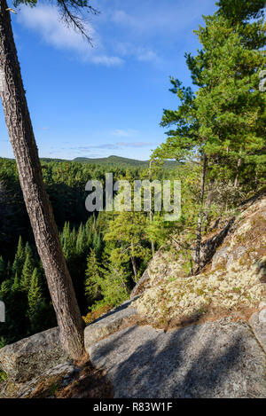 Two rivers 2025 trail algonquin park