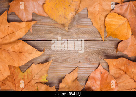 Autumn Leaves over wooden background.With copy space . Stock Photo