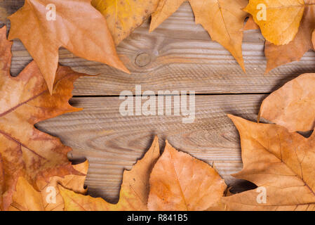 Autumn Leaves over wooden background.With copy space . Stock Photo