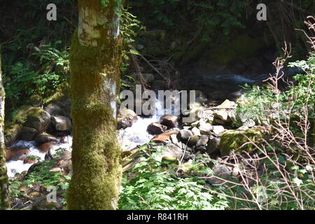 Scenic mountain and trail views of both Bearhead Trail and the Granite Lakes in the Pacific Northwest. Washington State's Mt. Rainer takes background. Stock Photo