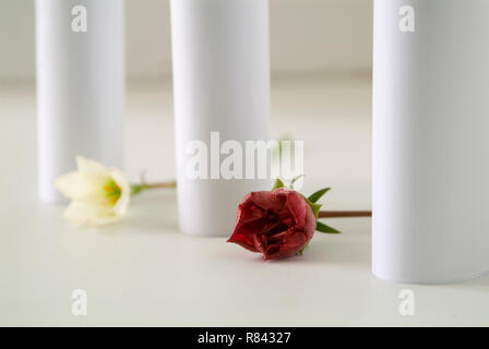 red and white flowers between white pillars