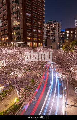Cherry blossoming at Roppongi Sakurazaka, Tokyo, Japan. Stock Photo
