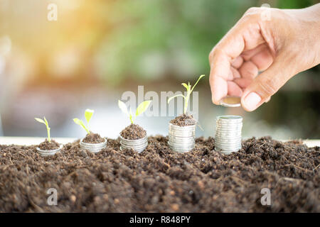 Silver coins in soil with young plant. Money growth concept. Stock Photo