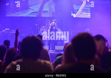 RockFest80s 2018 - Day 1 - Performances  Featuring: Vince Neil Where: Miramar, Florida, United States When: 10 Nov 2018 Credit: JLN Photography/WENN.com Stock Photo