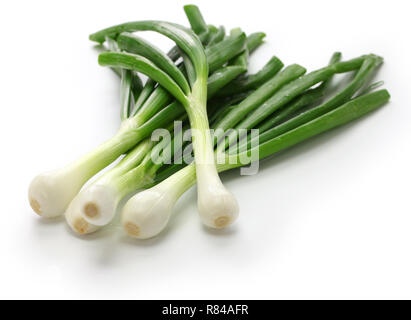 green onion, spring onion Stock Photo