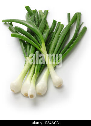 green onion, spring onion Stock Photo