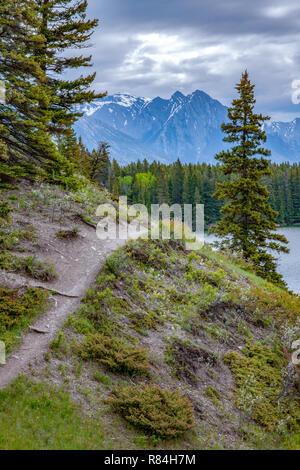 Banff National Park, Alberta, Canada.  Path around Lake Louise. Stock Photo