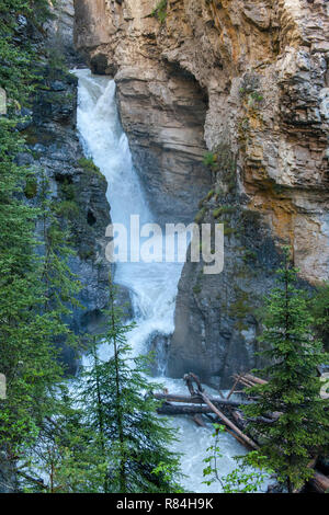 Hike along Johnston Canyon River on the Lower and Upper Falls trail in Jasper National Park, Alberta, Canada Stock Photo