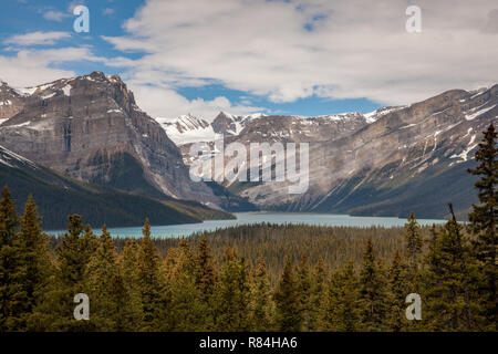 View of Athabasca River and glaciers along the Icefields Parkway in Banff National Park, Alberta, Canada Stock Photo