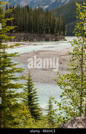 Banff National Park, Alberta, Canada.  Scenic view of the Athabasca River along the Icefields Parkway. Stock Photo