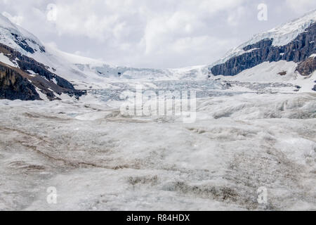 Athabasca Glacier And Mountains Along Icefield Parkway. Jasper National 