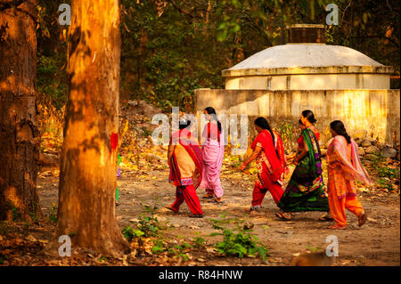 Indian womans in traditional saris walking on the Corbett Jungle, Kaladhungi, Uttarakhand, India Stock Photo
