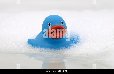 Blue duck in a bathtub, surrounded by soap Stock Photo - Alamy