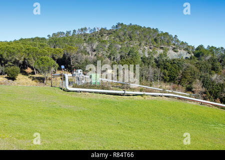 Geothermal power plant in Tuscany hills.  In the picture you can see a hill with pine trees on a blue sky and a green grass lawn. Stock Photo