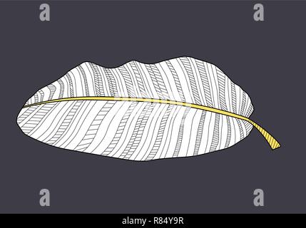Abstract tropical banana palm leaf. Vector Illustration Stock Vector