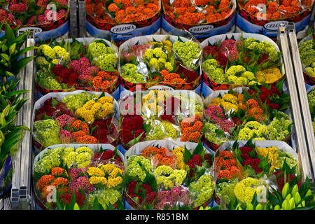 Netherlands, Aalsmeer: batches of plants in a warehouse for the flower auction sale, Royal FloraHolland. bunches of flowers, bouquets Stock Photo