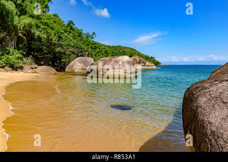 Paradise beach, totally preserved and deserted surrounded by tropical rainforest with clear and transparent waters Stock Photo