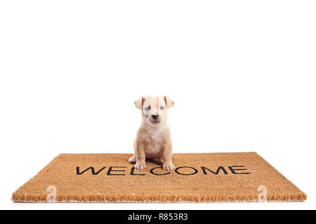 https://l450v.alamy.com/450v/r853r3/small-puppy-dog-sitting-on-a-door-mat-with-written-text-welcome-isolated-on-white-background-r853r3.jpg