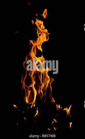 Bonfire Stock Photo