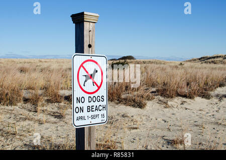 No dogs on beach sign posted by dunes at Scusset Beach, Cape Cod in Sagamore, Bourne, Massachusetts, USA Stock Photo