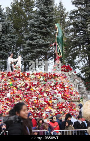 Our Lady of Guadalupe Shrine in Des Plaines, Illinois, USA. Nuestra ...