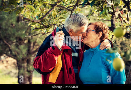 An attractive mature couple kissing outdoors under a lemon tree with casual clothes Stock Photo