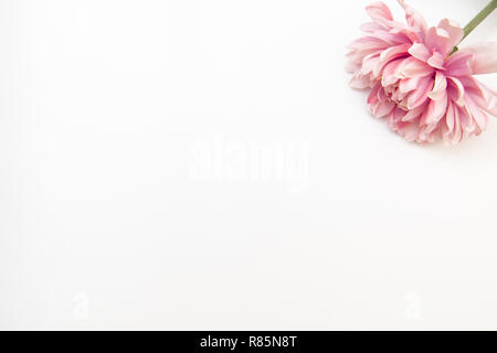 Minimal styled flat lay with pink flower on a white background. Mock up top view isolated on white. Stock Photo
