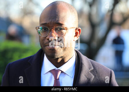 Westminster, London, UK, 13th Dec 2018. Former universities minister Sam Gyimah, who resigned over Brexit, is interviewed on College Green in London. Credit: Imageplotter News and Sports/Alamy Live News Stock Photo