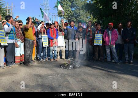 Agartala, Tripura, India. 10th Dec, 2018. Protesters are seen standing before the burning fire while chanting slogans during the protest.INPT (Indigenous Nationalist Party of Twipra) leaders and supporters protest on the National High way in Khamtingbari, 40 km far from Agartala city to demand for the withdrawal of Citizenship Bill that was Introduced in July 19 in Lok Sabha, the Citizenship Amendment Bill 2016 seeks to allow illegal migrants from certain minority communities in Afghanistan, Bangladesh and Pakistan eligible for Indian citizenship. In other words, it amends the Citizenshi