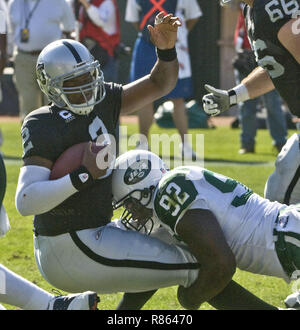 13 September 2010: New York Jets defensive end Shaun Ellis (92